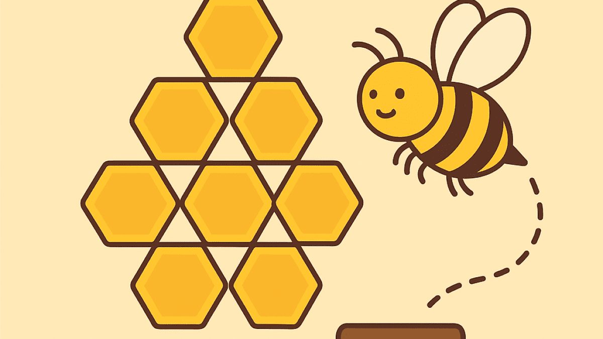 SIP Honey Comb Finbees